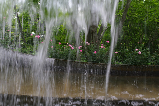 A group of water spewing out of a fountain
