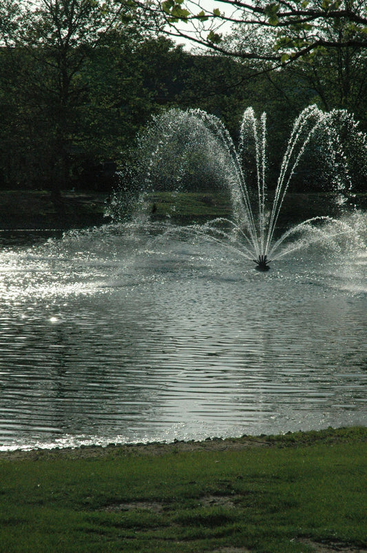 a large pond with a bunch of water spewing out of it