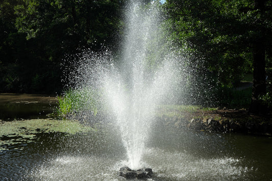 A fountain spewing water into a pond surrounded by trees
