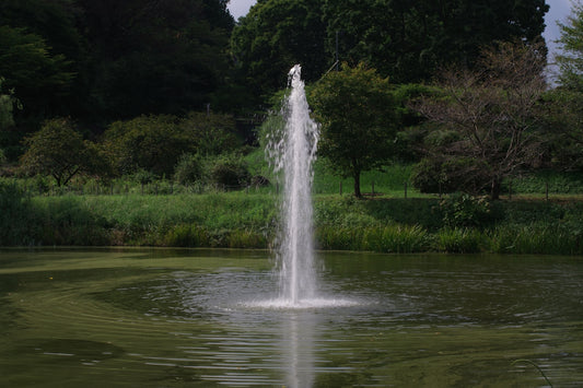 A fountain spewing water into a pond surrounded by trees